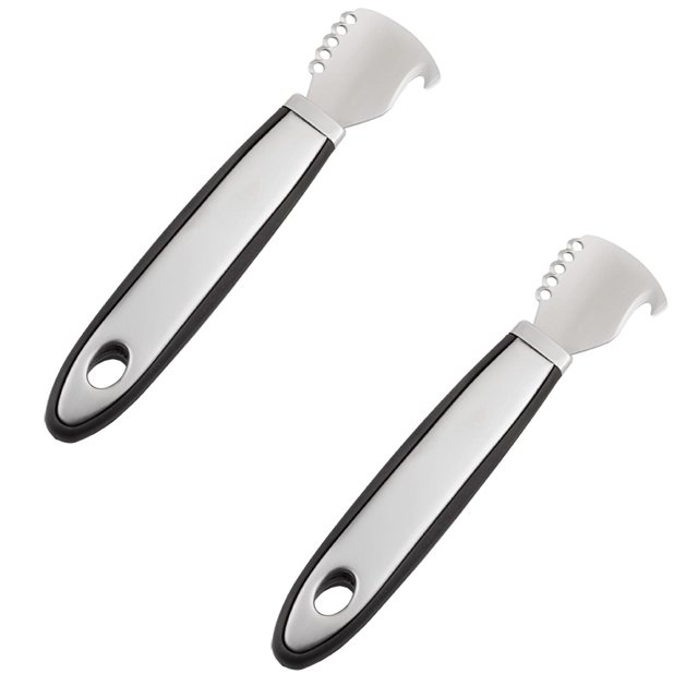 Oleegame 2 Pcs Outils de Cuisine Créatifs Rabot à Citron en Acier Inoxydable Éplucheur Grattoir Râpe Éplucheur Manuel de Fruits Râpe Argent