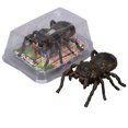 thumbnail image 3 of Drppepioner Fidget Juguete,Realistic Interactive Insect Juguete Collection for Educational Play Indoor Outdoor Use, 3 of 9