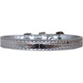 thumbnail image 1 of Wichita Plain Croc Dog Collar Silver Size 12, 1 of 1