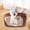 Red L, variant on Pet Dog Toilet Indoor Outdoor Lavatory Basin Training Pad Holder Litter Pan Blue S