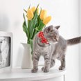 thumbnail image 3 of Lot de 2/ensemble Collier pour Chat à Dégagement Rapide avec Mignon Nœud Papillon et Clochette à Carreaux Fleur pour Minou Sécurité Ajustable, 3 of 9