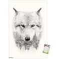 thumbnail image 1 of Loup - Arbres, 1 of 4