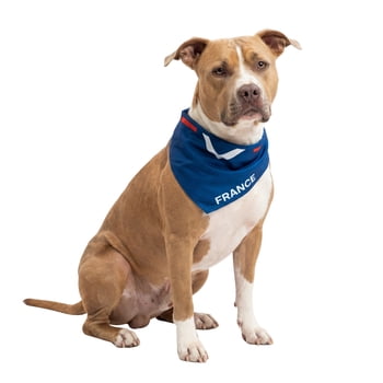 One Paw, 2-Pack Soccer Bandana Set for Pets, Team France, Lightweight, Blue, for Dogs and Cats
