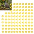thumbnail image 4 of 100PCS 8mm Pigeons Leg Rings Easy Identify Reusable Lightweight Durable Poultry Supplies, 4 of 8
