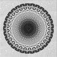 thumbnail image 1 of Ahgly Company Tapis d'Intérieur Lavable en Machine Carré Transitionnel Gris, 8 Pieds Carré, 1 of 7