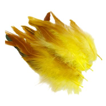 veasfak 50 Pcs Plumes pour Artisanat Plumes de Poulet pour Fête Arrangements de Mariage Noir