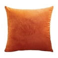 thumbnail image 2 of Dvruxg Velvet Throw Pillow Covers 16x16 Inch - Soft Square Decorative Cushion Cover for Couch, Sofa, 2 of 5