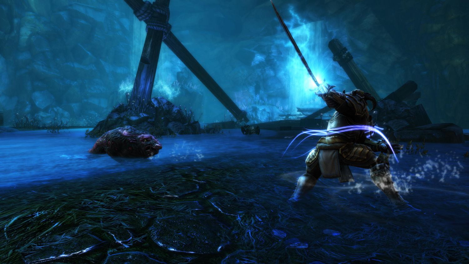 Jeu vidéo Kingdoms of Amalur Re-Reckoning pour (PS4)