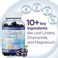 thumbnail image 2 of Naturally Calm Gummies for Kids – Magnesium Glycinate, Chamomile, & Linden Extract – Multivitamins that Promote Well-Being, Balance, & Overall Health – 30 Chewable Gummies – Grape Flavored – Rhoziva, 2 of 8