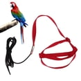 thumbnail image 4 of Bird Leash, Bird Flying Rope Bite  Lightweight  For Attending Party For Walking, 4 of 8