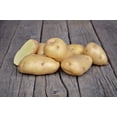 thumbnail image 1 of Potato Bintje, 1 of 1