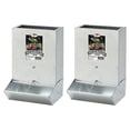 thumbnail image 1 of Little Giant BPF2 Mountable 2 Hole Baby Piglet Trough Feeder, 7 Pound (2 Pack), 1 of 5