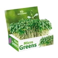 thumbnail image 1 of Total Green Radish Microgreens Grow Kit, 1 of 2