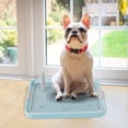 thumbnail image 2 of Pompotops Leakproof Home Dog Urine Basin Dog Toilet Clearance, 2 of 6