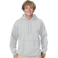 thumbnail image 1 of Hanes Mens ComfortBlend EcoSmart Pullover Hoodie Sweatshirt, M, Ash, 1 of 3
