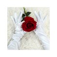 thumbnail image 4 of Unique Bargains Paires de Gants à Doigts Complets Extensibles pour Femmes, Longueur Opéra, 4 of 4