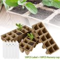 thumbnail image 2 of AMERTEER Seed Starter Tray  Cell Peat Pots Kits  Biodegradable Compostable Planting Pots for Garden Seedling Vegetable Flower, 2 of 11