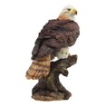 thumbnail image 5 of Ebros Faune Faucon à Queue Rouge sur Souche d'Arbre Statue Oiseaux de Proie Figurine 10"H, 5 of 5