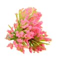 thumbnail image 2 of 2 Pcs Matériaux de Modèle DIY Bac à Sable Construction Arbre Tronc Fleur Matériaux Optionnels, 2 of 7