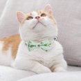 thumbnail image 4 of 2 Pack Breakaway Cat Collars with Bowtie, Safety Buckle Cat Collars with Bell, Summer Print Collars, 4 of 5
