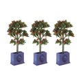 thumbnail image 1 of Miniature Dollhouse Plants, Durable Fruit Tree Model Rich Color Long Service Life Resin  For Dollhouse Decoration, 1 of 8