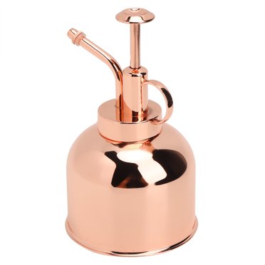 Arrosage Peut Métal Arrosage Intérieur Arrosage de Fleurs Peut Planter Arrosage Peut pour la Maison