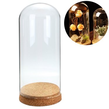 Cloche Dôme Créative Décorative en Verre Cloche Présentoir en Verre avec Base en Bois