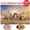 C, variant on Adults Puzzles 500 Piece Large Puzzle Game Interesting Toys Personalized Gift