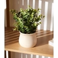 thumbnail image 2 of Anko Artificial Eucalyptus in Pot, 2 of 5