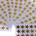 thumbnail image 4 of KUIZAP 10 Sheets 15mm School Teacher Office Merit Reward Gold Star Self-adhesive Stickers(Colorful), 4 of 7