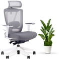 thumbnail image 1 of EFFYDESK AeryChair Heavy-Duty Executive Home Office Chair Ergonomic Desk Chair with Lumbar Support 4D Armrest Adjustable Task Chair (Pearl White), 1 of 8