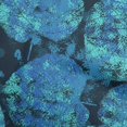 thumbnail image 1 of oneOone Cotton Poplin Medium Blue Fabric Abstract Leaf Texture Sewing Craft Projects Fabric Prints By Yard 42 Inch Wide, 1 of 4