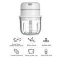 thumbnail image 3 of Amdohai Electric Mini Garlic Chopper Food Slicer Portable Garlic Grinder Blender Food Processor For Pepper Chili Vegetable Nuts Meat 300ML USB Rechargeable, 3 of 8
