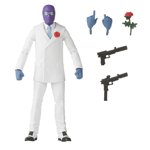 Hasbro Marvel Legends Series Rose de Marvel, araignée-homme légendes collectionnable 6 Chiffres d'action de pouce, 5 Accessoires