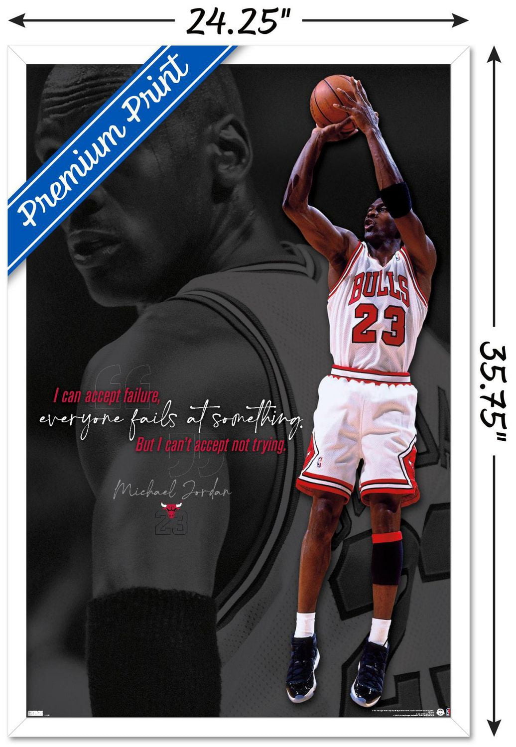 Michael Jordan - Can't Accept Not Trying Wall Poster
