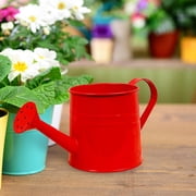 Uuiauoio Mini Watering Can Model,Small Metal Watering Can Garden Watering Can Plant Watering Can for Garden Beach Sprinkler Toy
