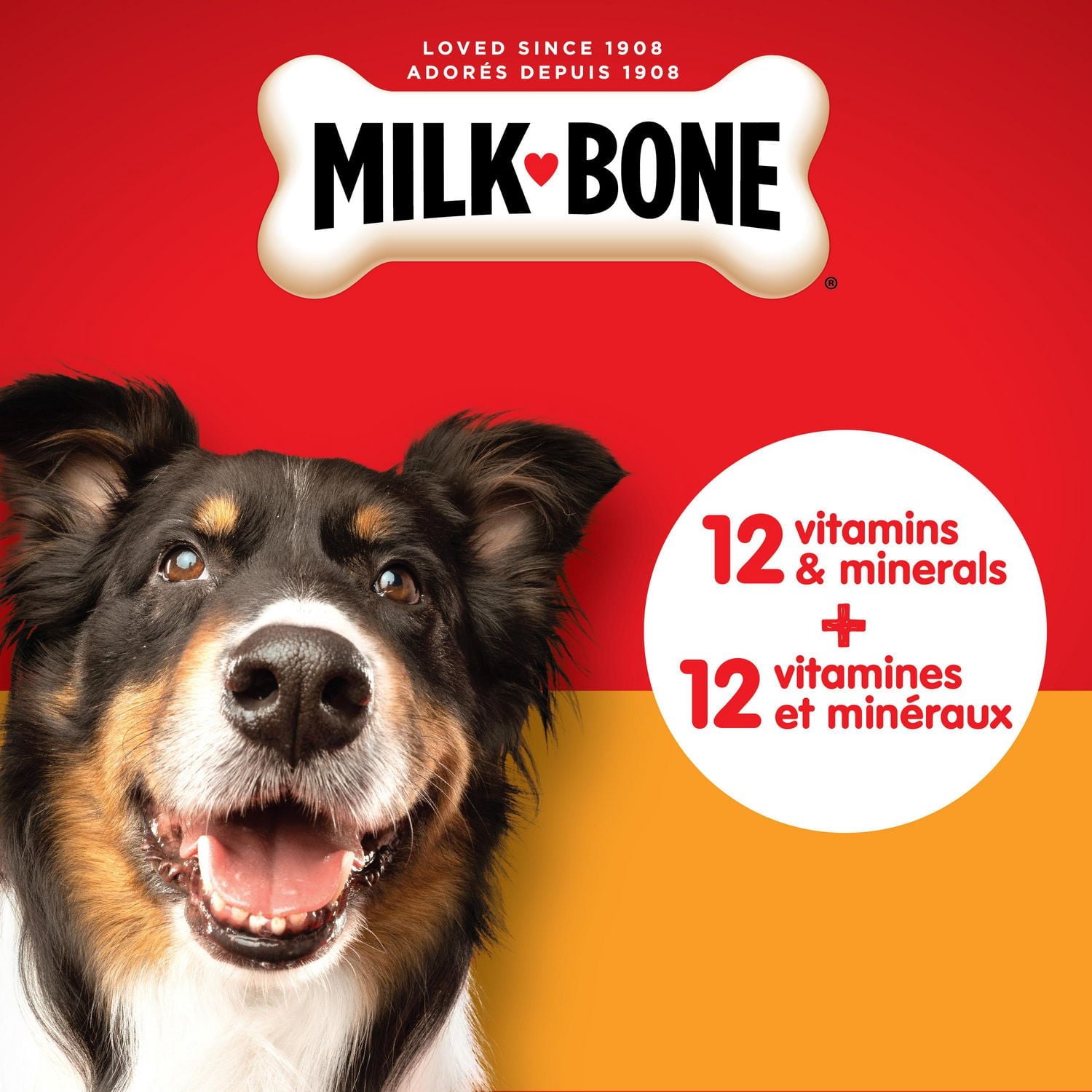 Milk-Bone biscuits moyens originaux