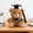Brun, variante sur Roiihwy Teddy Bear Bear Plush Cadeaux de Remise des Diplômes pour Elle Animaux en Peluche, Jouets pour Bébé avec Toque et Toge Collège Secondaire Remise des Diplômes École Préscolaire Maternelle Cadeaux pour Garçons Filles