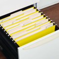 thumbnail image 4 of ZTTD Hanging File Folders, 1 Pack Letter Size Hanging File Folders, Sturdy Expandable Document Organizer, Letter Size, Ideal for Home and Office Organization and Papers Classification, 4 of 4