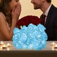 thumbnail image 3 of Cheapark LED Rose Flower String Lights 20 Warm White Lights Valentines Day Decoration USB Powered For Bedroom Party, 3 of 5