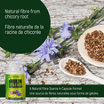 thumbnail image 2 of Inulin Fiber Capsules - 300 Veggie Capsules, 2 of 8