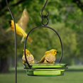 thumbnail image 2 of Couronne Co. COURM33720008 Orange Cuban Bowl Birdbath, 2 of 7