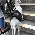 thumbnail image 3 of Wuffmeow Safety Care Assistive Belt For Elderly Disabled And Injured Dogs For Hind Legs Buttocks Support Harness Walking Bracket, 3 of 8