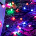 thumbnail image 4 of Multicolor One-Piece G12 Raspberry Christmas Lights 140 Count 48 Feet, 2 Sets 70 LED 24 ft High Waterproof UL Certified String Light (Multicolor), 4 of 8