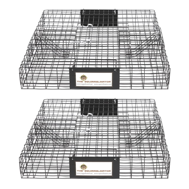 Rugged Ranch SQR Squirrelinator Écureuil Vivant Tamias Cage Piège à 2 Portes (Lot de 2)