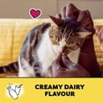 thumbnail image 4 of Temptations Creamy Dairy Flavour Soft & Crunchy Adult Cat Treats, 4 of 9