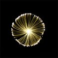 thumbnail image 1 of Daisyyozoid Courtyard Decoration Led Solar Light Flower Arrangement Lamp (Shape Can Be Changed Manually, 1 of 3