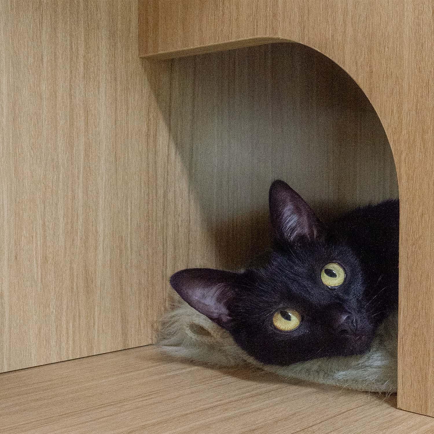 Mobilier Multifonctionnel pour Chats TANKEN avec Rangement, Chêne, Taille Unique