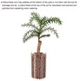 thumbnail image 5 of Uxcell Galets d'Argile 7-8 mm 0,22 Lb Boules de Jardinage en Pot pour Culture Hydroponique Brun, 5 of 5