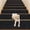 Black, variant on Gymax 15 PCS Slip-resistant Stair Mats 30'' x 8'' Non-Slip Stair Treads Carpet Black
